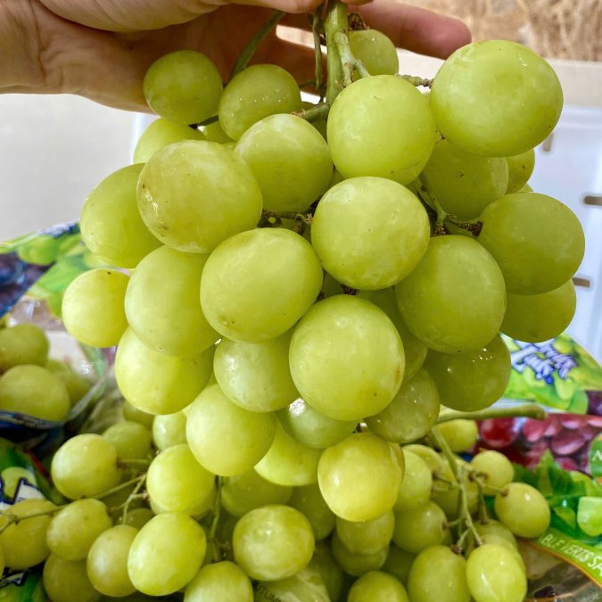 Nho xanh Pretty Lade Mỹ